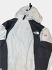 THE NORTH FACE MOUTAIN GORE-TEX JACKET