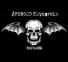Đĩa than Avenged Sevenfold – Hail To The King