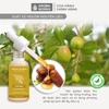 Dầu Jojoba Hữu Cơ Dưỡng Da Và Tóc Aroma Works Face & Hair Oil Jojoba