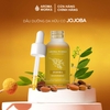 Dầu Jojoba Hữu Cơ Dưỡng Da Và Tóc Aroma Works Face & Hair Oil Jojoba