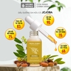 Dầu Jojoba Hữu Cơ Dưỡng Da Và Tóc Aroma Works Face & Hair Oil Jojoba