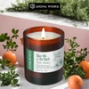 Nến Thơm Handmade Aroma Works Scented Candle Làm Từ Tinh Dầu Thiên Nhiên & Sáp Nành 170g