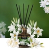 Bộ Tán Hương Que Mây Nomad Reed Diffuser 140ml - Night Tuberose