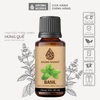 Tinh Dầu Thiên Nhiên Húng Quế Aroma Works Essential Oil Basil