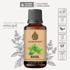 Tinh Dầu Thiên Nhiên Húng Quế Aroma Works Essential Oil Basil