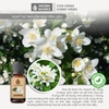 Tinh Dầu Thiên Nhiên Hoa Lài Aroma Works Essential Oil Jasmine