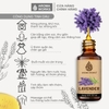 Tinh Dầu Thiên Nhiên Hoa Oải Hương Aroma Works Essential Oil Lavender