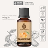 Tinh Dầu Thiên Nhiên Vỏ Quýt Aroma Works Essential Oil Tangerine