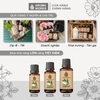 Tinh Dầu Thiên Nhiên Tràm Gió Aroma Works Oil Cajeput