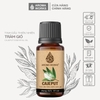 Tinh Dầu Thiên Nhiên Tràm Gió Aroma Works Oil Cajeput