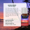 Tinh Dầu Thơm Nomad Signature Blend Oils - Aloha Hawaii