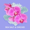 Tinh Dầu Thơm Làm Nến, Tán Hương, Mỹ Phẩm Mùi Sea Salt & Orchid
