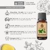 Tinh Dầu Thiên Nhiên Lá Chanh Aroma Works Essential Oil Petitgrain