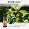 Tinh Dầu Thiên Nhiên Lá Chanh Aroma Works Essential Oil Petitgrain