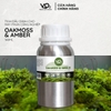 Tinh Dầu Cho Máy Phun Công Nghiệp VO2 Spa Collection - Oakmoss & Amber