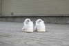 [2hand] Giày Thể Thao  ADIDAS POWERPHASE CLOUD WHITE OFF-WHITE EF2888 GIÀY CŨ CHÍNH HÃNG