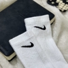 (AUTHENTIC 100%) Bộ 6 Đôi Vớ Nike Cotton Cushioned No Show - FREE SIZE Chính Hãng 100% (Combo 6)
