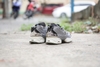 [2hand] Giày Thể Thao Reebok Women s Instapump Fury AQ9214 CŨ CHÍNH HÃNG