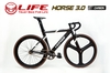 Xe đạp Fixed Gear LIFE HORSE 3.0 Sơn Carbon