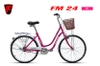 Xe đạp mini Fascino FM24