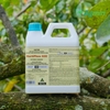 Hortiphos 600 - Thuốc trị nấm phytophthora - Sương mai - Thối rễ - Xì mủ - Nứt Thân...