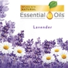 bo-tinh-dau-thom-cam-dien-air-wick-lavender-chamomile-essential-oil-1-warmer-9-s