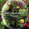 protein-thuc-vat-plantfusion-complete-plant-protein-no-stevia-natural-840g