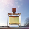 HERMES Terre d’Hermes Pure Parfum