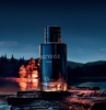 Dior Sauvage Parfum 100ml