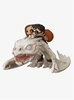 Funko Pop! Rides: Harry Potter - Gringotts Dragon with Harry, Ron, and Hermione, Vinyl Figure (93)