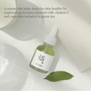 SERUM BEAUTY OF JOSEON CALMING SERUM GREEN TEA PANTHENOL 30ML