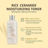 Nước hoa hồng gạo The Face Shop Rice Ceramide Moisturizing Toner 150ml
