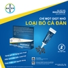 BẠN CÓ BIẾT?