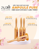 tinh-chat-keo-ong-pure-ampoule-korea