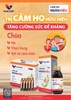 Chữa ho, viêm họng, sốt , cảm mạo. Cảm Ho Ngân Kiều Hoa Việt (dạng ống)