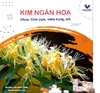 Siro Cảm ho Ngân Kiều