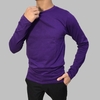 Áo thun nam Facio Shop cổ tròn tay dài thun poly W01