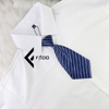 Cà Vạt Nữ Phi Bóng Họa Tiết Đầu Nhọn C025