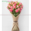 bo-hoa-tulip-bn-b0226