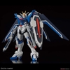 RISING FREEDOM GUNDAM HG SEED 1/144 BANDAI