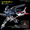 RISING FREEDOM GUNDAM HG SEED 1/144 BANDAI