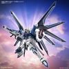 RISING FREEDOM GUNDAM HG SEED 1/144 BANDAI