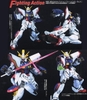 SHINING GUNDAM MG 1/100 BANDAI