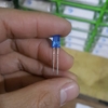 led-5mm-xanh-duong-duc-2h3