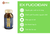 Fucoidan loại nào tốt? Lời khuyên đáng giá từ các chuyên gia Fucoidan loại nào tốt? Lời khuyên đáng giá từ các chuyên gia