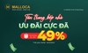 Khuyến mãi của Malloca