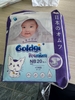 qbỉm goldgi (mẫu 20)