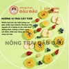 Trái Cây Rau Củ Sấy Lạnh Yee Cho Thỏ Ăn Vặt Cho Thỏ Giàu VItamim Hộp 55g