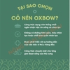 (Túi Nguyên) Guinea Pig Oxbow Essentials Adult 2,25kg