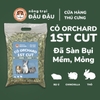 Cỏ Orchard 1st Cut